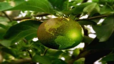 Sustainably and its effect on daily life