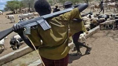 THE MENACE OF FULANI HERSDMEN IN NIGERIA: A THICK THORN IN THE SIDE OF THE NATION