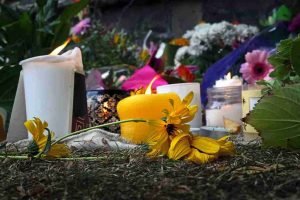 New Zealand mosque shooter