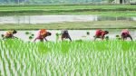 PM-KISAN Scheme