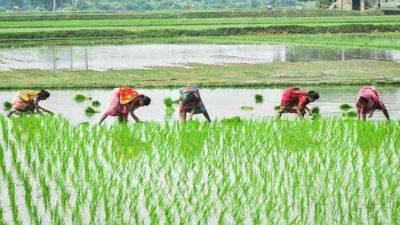 PM-KISAN Scheme provides Rs. 6,000 to 8 Crore Farmers