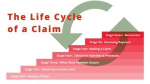 Insurance Life Cycle