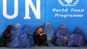 Nobel Peace Prize Given to the World Food Programme