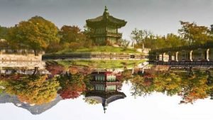 The Trending Korean Culture