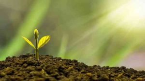 What Is Foreign Institutional Investment