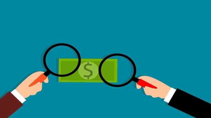 What is the Insolvency and Bankruptcy Code?