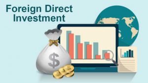What Do You Mean By Foreign Direct Investment?