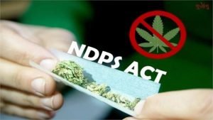 The NDPS Act : Adequate or Not?