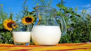 A2 Milk Health Benefits