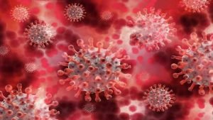 'Black' fungal disease