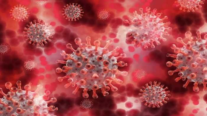 'Black' fungal disease