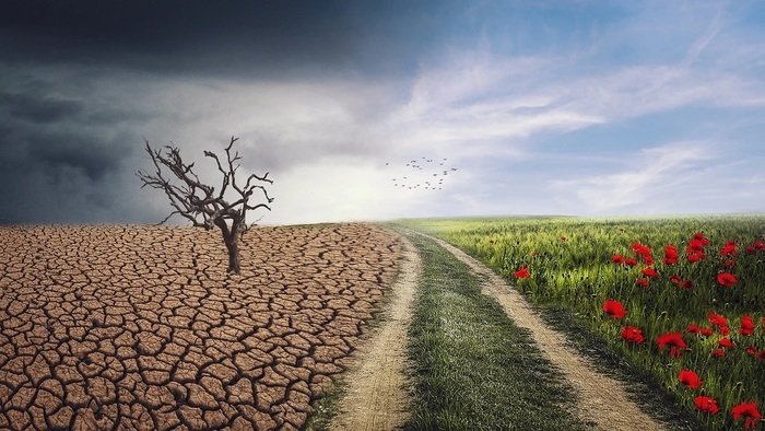 Climate Change is Real