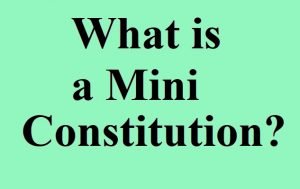 What is a Mini Constitution?