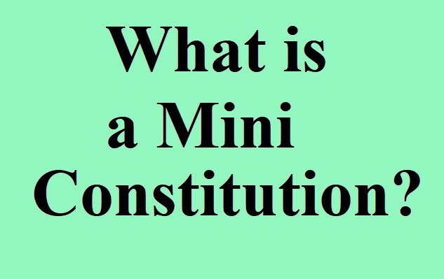What is a Mini Constitution?