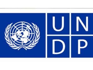 India is at 131 at UNDP Program ranking for Human Development Index