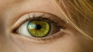 Which Vitamin is Useful for Eyes?