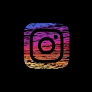 How Critical Features of the Instagram Algorithm can help you to build a Large Following