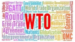 AN INTRODUCTION TO THE CONCEPT OF WTO