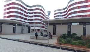 IIT-Hyderabad offers certificate programme for entrepreneurs in collaboration with Business Design Labs