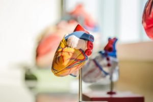 Why Do You Need Cardiac Insurance Plan For Heart Patients