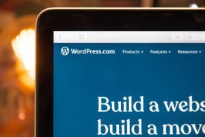 Most Important Questions You Need To Ask Before Hiring a WordPress (WP) Developer