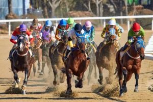 Horse Racing Tips