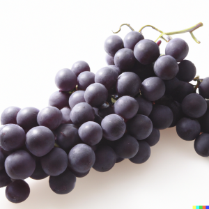Top 15 Water Rich Fruits to Keep You Hydrated This Summer
