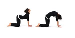 15 Easy Yoga Asanas for Everyone